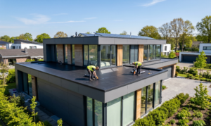 EPDM-toiture-tour-d'horizon